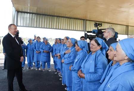 Azərbaycan prezidenti Salyanda pambıq sahələrinə baxıb