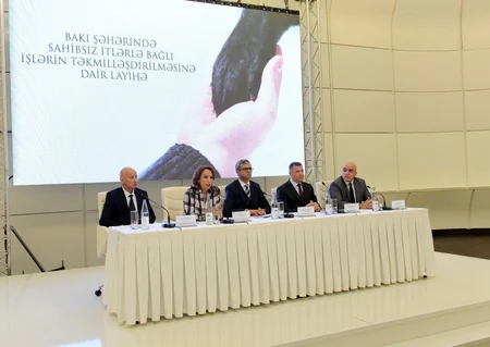 Heydər Əliyev Fondunun dəstəyi ilə sahibsiz itlərlə bağlı layihənin icrasına başlanılıb