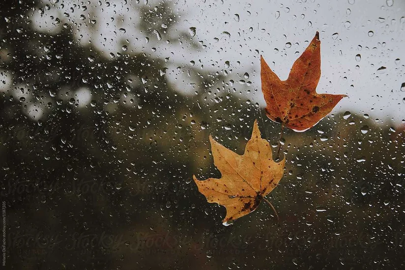 Weather forecast for next three days announced