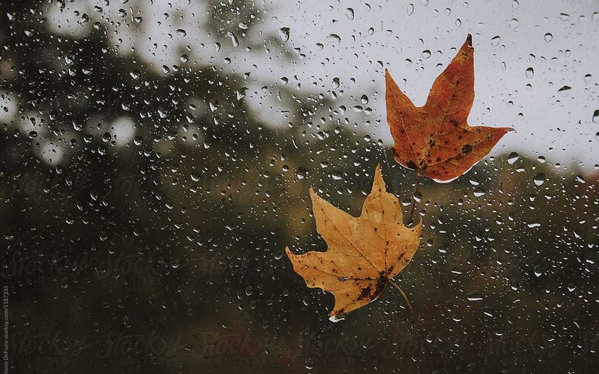 Weather forecast for next three days announced