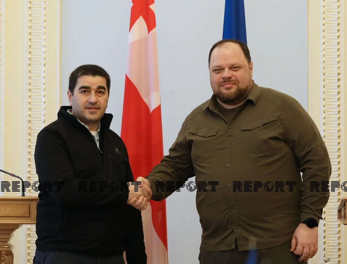 Gürcüstan parlamentinin sədri Kiyevdə Ukraynaya dəstək ifadə edib