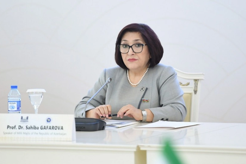 Sahibə Qafarova Dublində Simonyanın uydurma iddialarına cavab verib