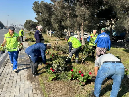 Bakının 551 əsas küçə və prospekti yuyulub - YENİLƏNİB