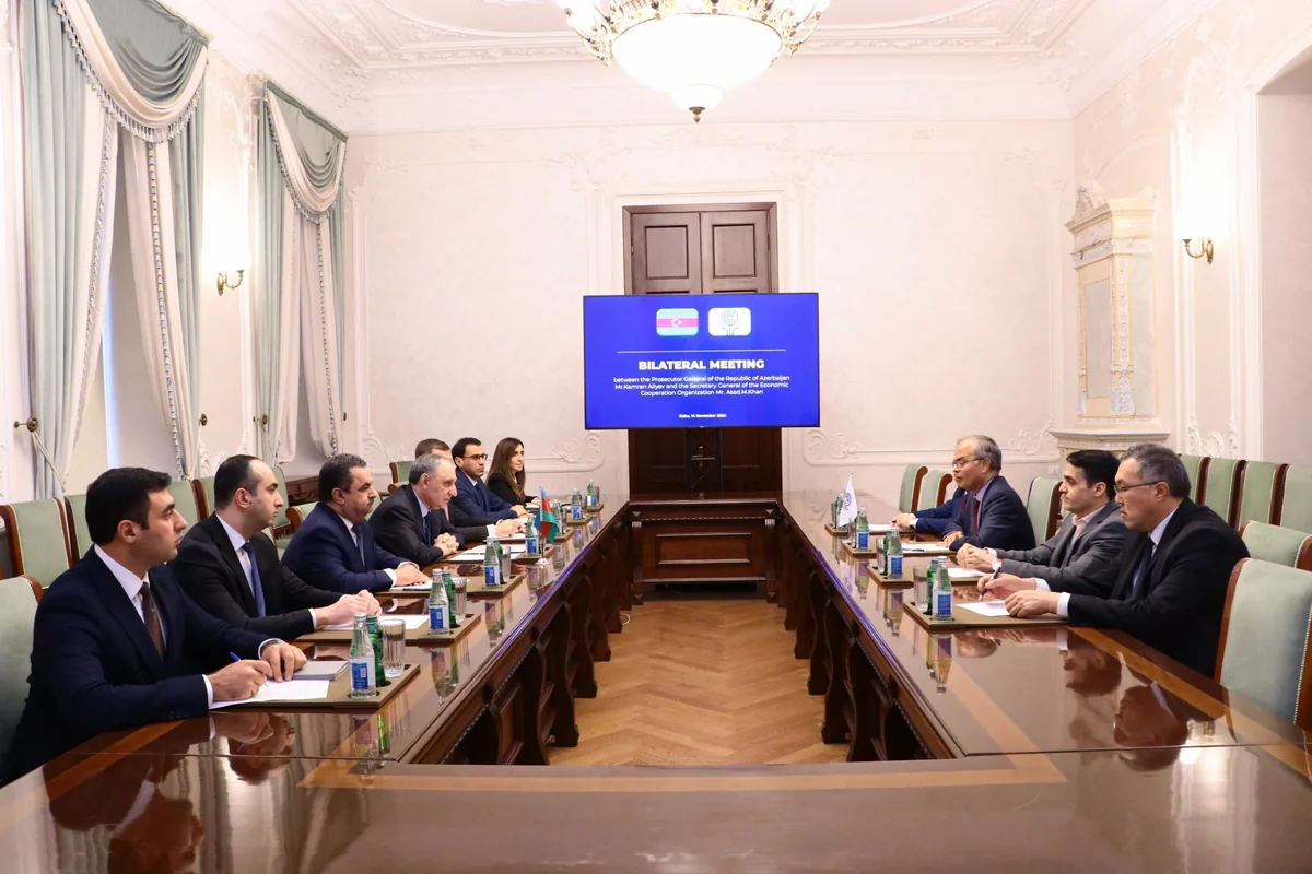 Кямран Алиев встретился с генсеком ОЭС