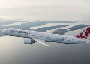 Turkish Airlines до 9 мая включительно отменила рейсы в Пакистан