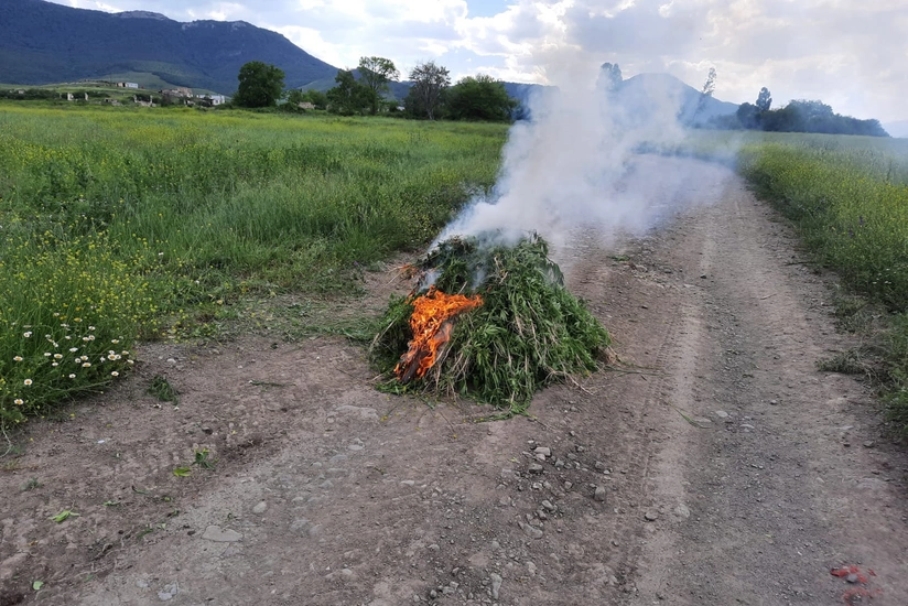 800 kg of drugs found in Aghdam's liberated village