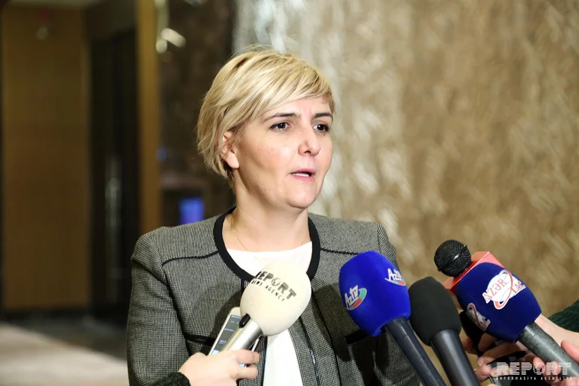 Nazir: 2-3 ildən sonra IAP-ın tikintisinə başlamaq üçün hazır olacağımıza ümid edirik