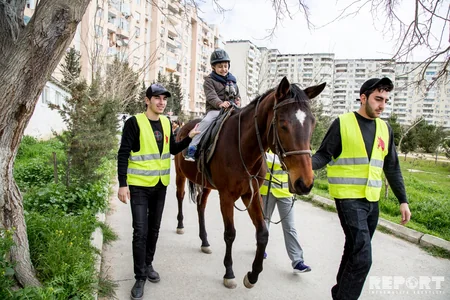 Atların müalicə etdiyi insanlar - REPORTAJ