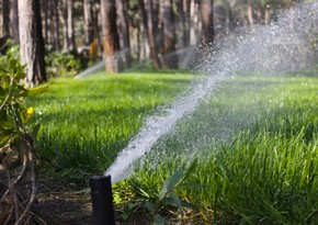 В Баку используют очищенные сточные воды для орошения