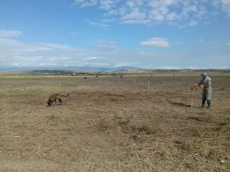 Cocuq Mərcanlıda 26 ədəd partlamamış hərbi sursat aşkarlanıb