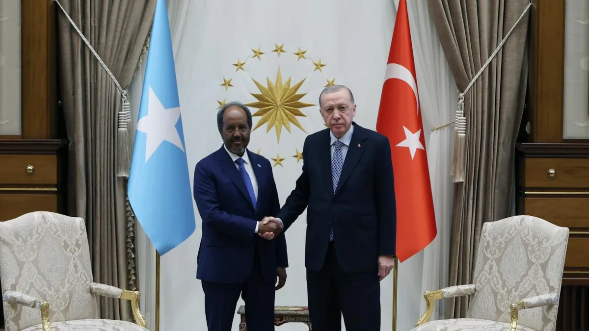 Ərdoğan Somalidən olan həmkarı ilə görüşündə məsələləri müzakirə edib