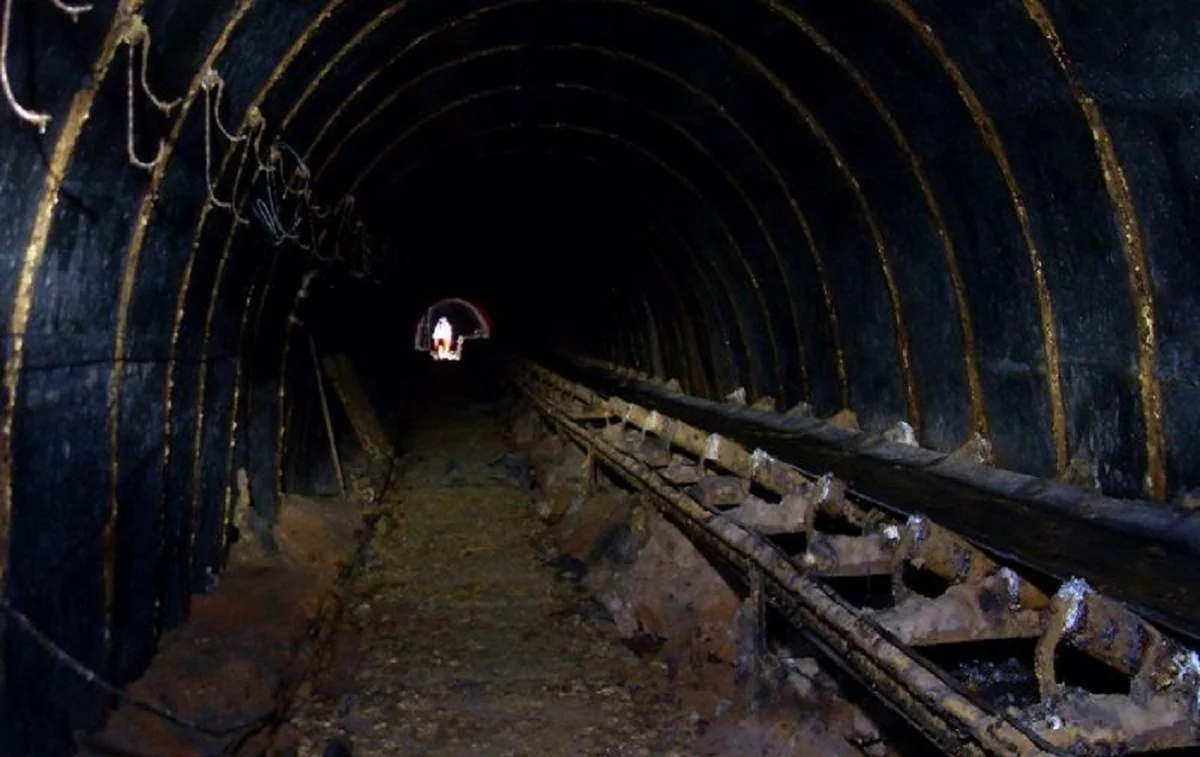 Almaniya mineral idxalından asılılığı azaltmaq üçün mədənlərini yenidən açır