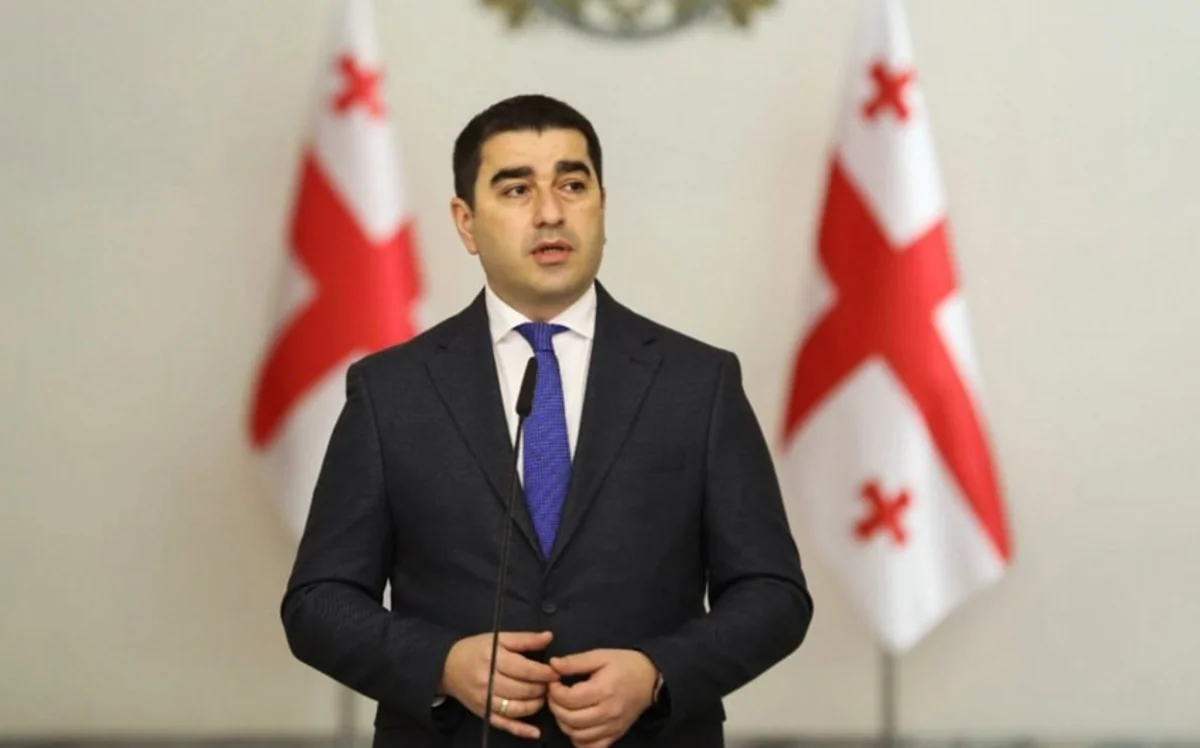 Georgian parliament speaker calls US sanctions on Georgia senseless