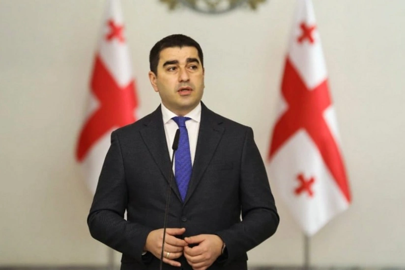 Georgian parliament speaker calls US sanctions on Georgia senseless