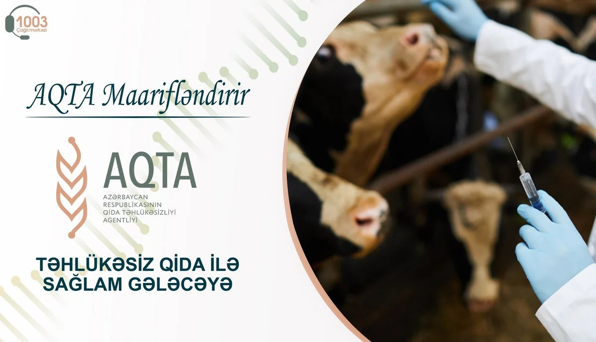 Qida məhsullarında antibiotik təhlükəsi - MƏQALƏ