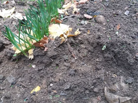 Bakıda qumbara, partladıcı və civə tapılıb