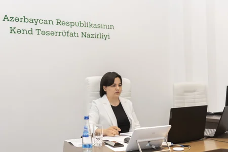 Azərbaycanda BMT-nin Qida Sistemləri üzrə Zirvə toplantısına hazırlıq gedir