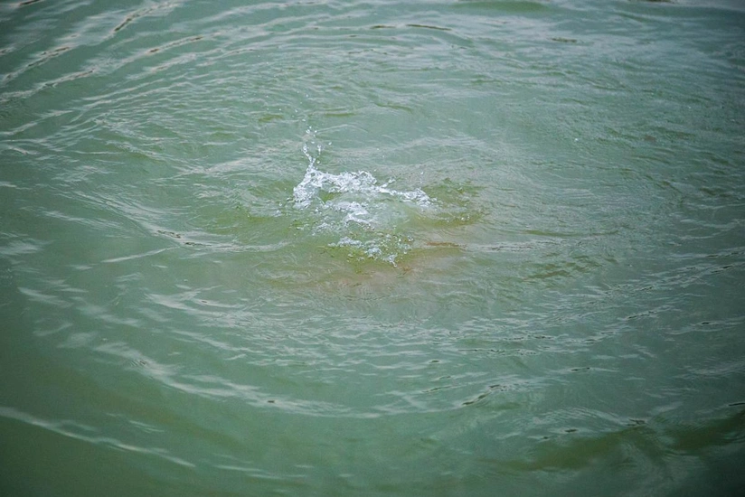 Ağcabədidə bir nəfər kanalda batıb