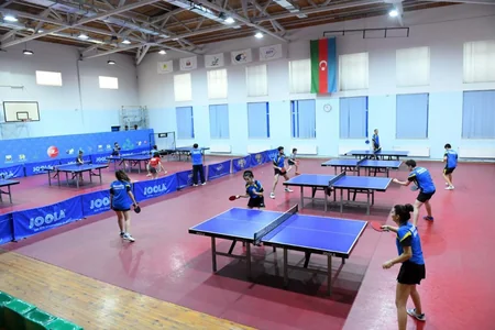 Fərid Qayıbov daha bir federasiyanın fəaliyyəti ilə tanış olub