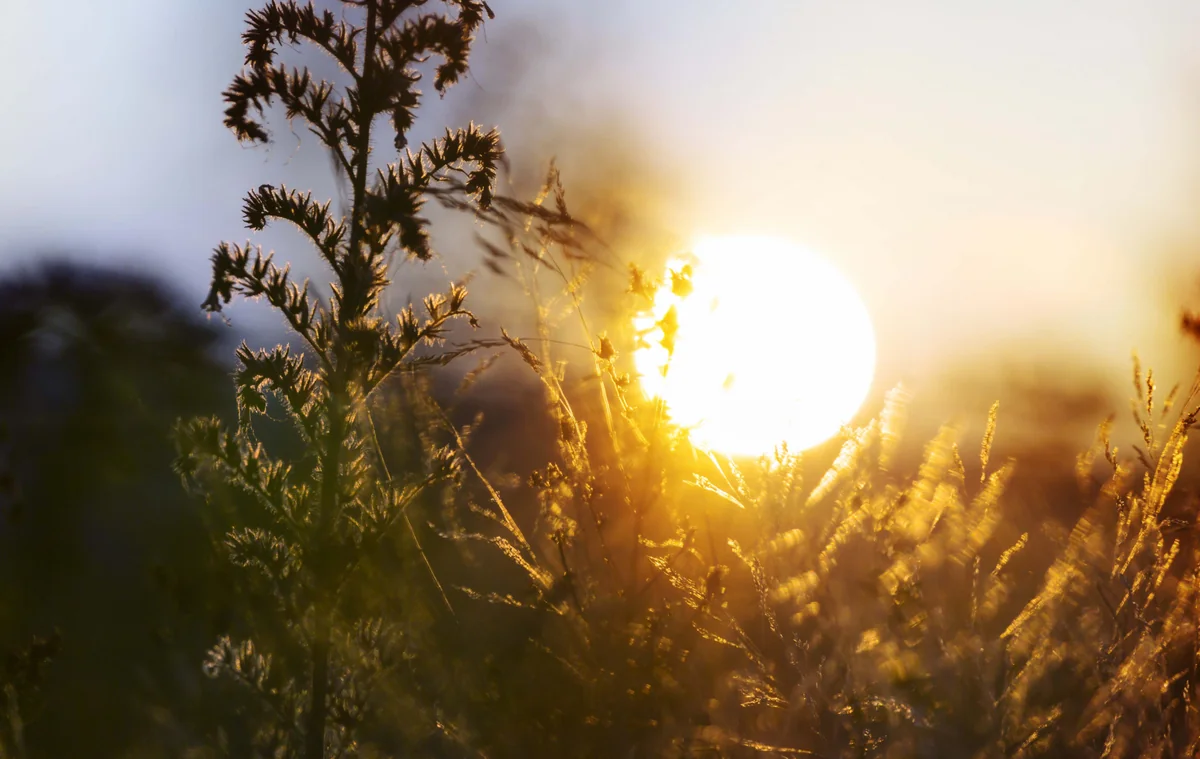 Воздух в Азербайджане прогреется до 23°