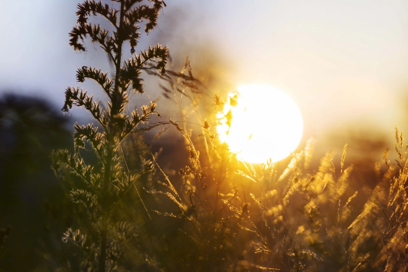 Воздух в Азербайджане прогреется до 23°