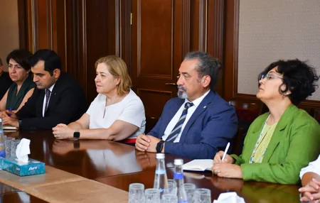 Naxçıvanda səhiyyə islahatları barədə ÜST nümayəndə heyətinə məlumat verilib