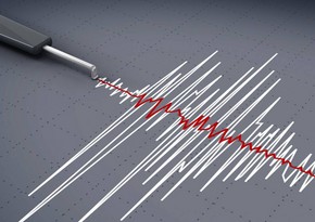 На севере Японии произошло землетрясение магнитудой 6,1