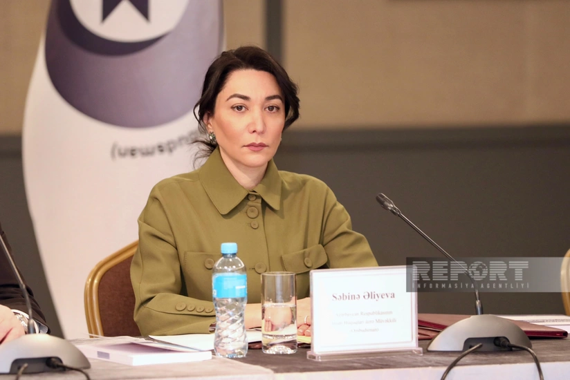 Ombudsman: 'Armenia's mine terrorism prevents full protection of rights of our citizens'