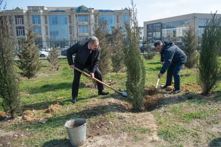 A series of tree planting campaigns dedicated to the 100-th anniversary of National leader Heydar Aliyev were held with support of Baku Steel Company
