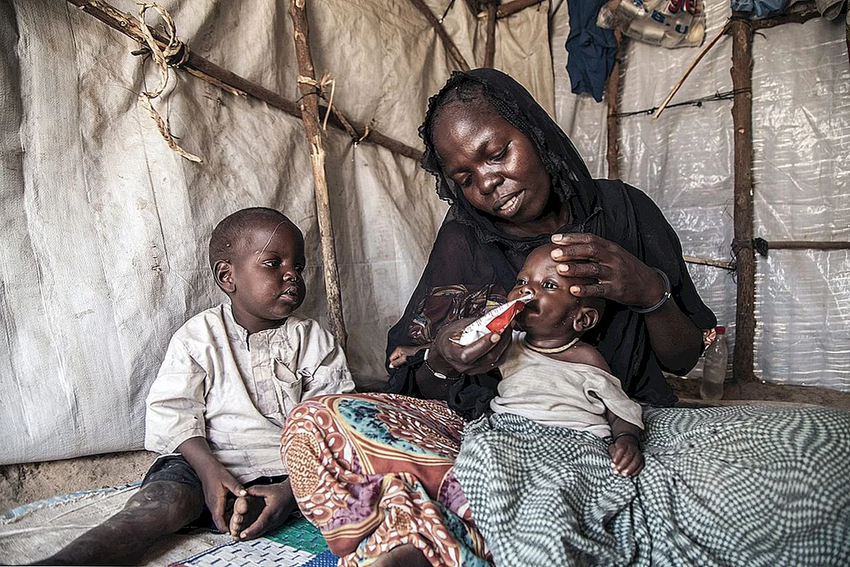 BMT: Nigeriyada 11 milyon insanın humanitar yardıma ehtiyacı var