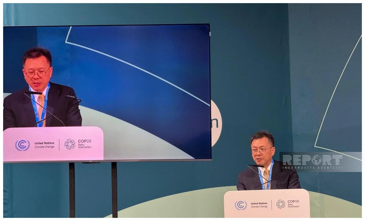 UNIDO nümayəndəsi: COP29 iqlim problemlərinin həlli və dayanıqlı iqtisadiyyatın yaradılması üçün mühüm platformadır