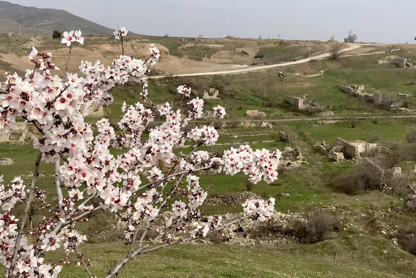 Envoy: British companies ready for restoration of liberated territories