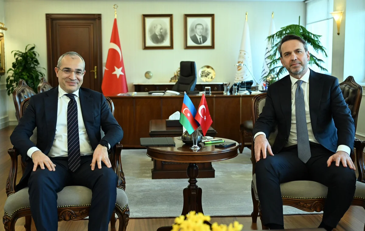 Ministers discuss Azerbaijan-Türkiye cooperation in renewable energy sector