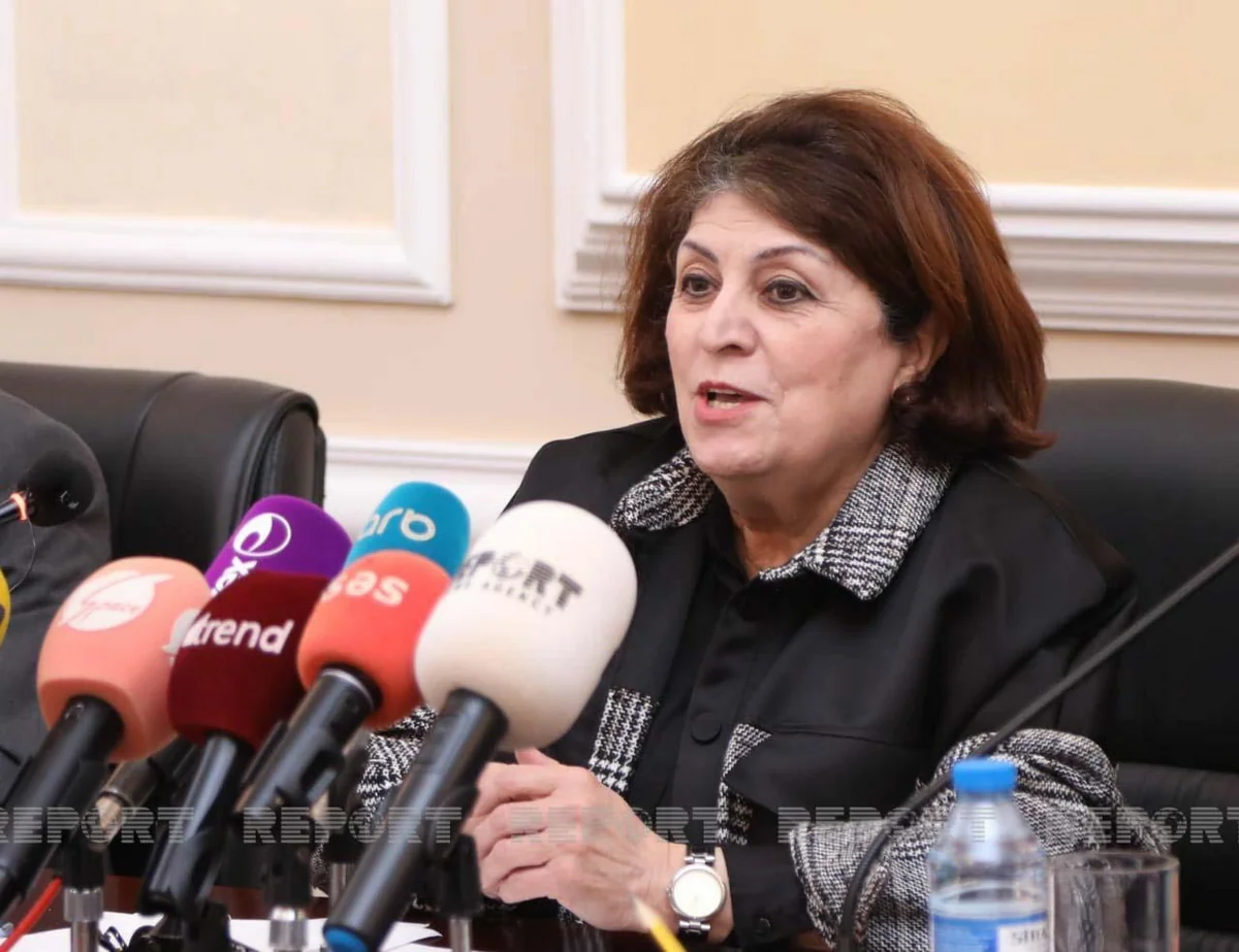 Səadət Bənənyarlı: Seçkilərdə namizədliyini irəli sürmüş bəzi şəxslərin şikayəti araşdırılır