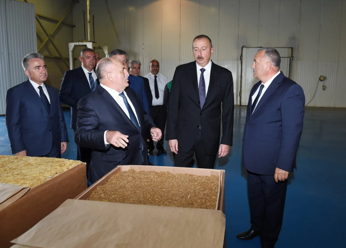 President Ilham Aliyev views tobacco processing plant in Zagatala