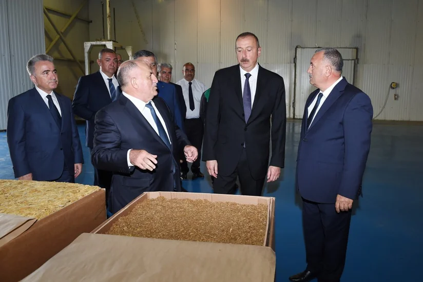 President Ilham Aliyev views tobacco processing plant in Zagatala
