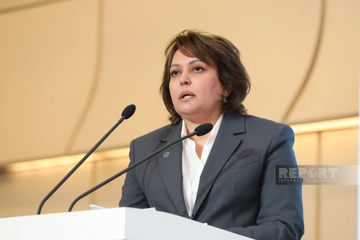 Deputy minister: Cities play key role in ensuring energy efficiency