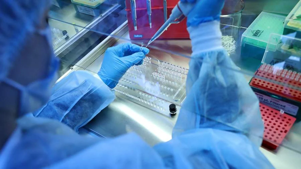 Çində yeni yoluxucu virus yayılıb