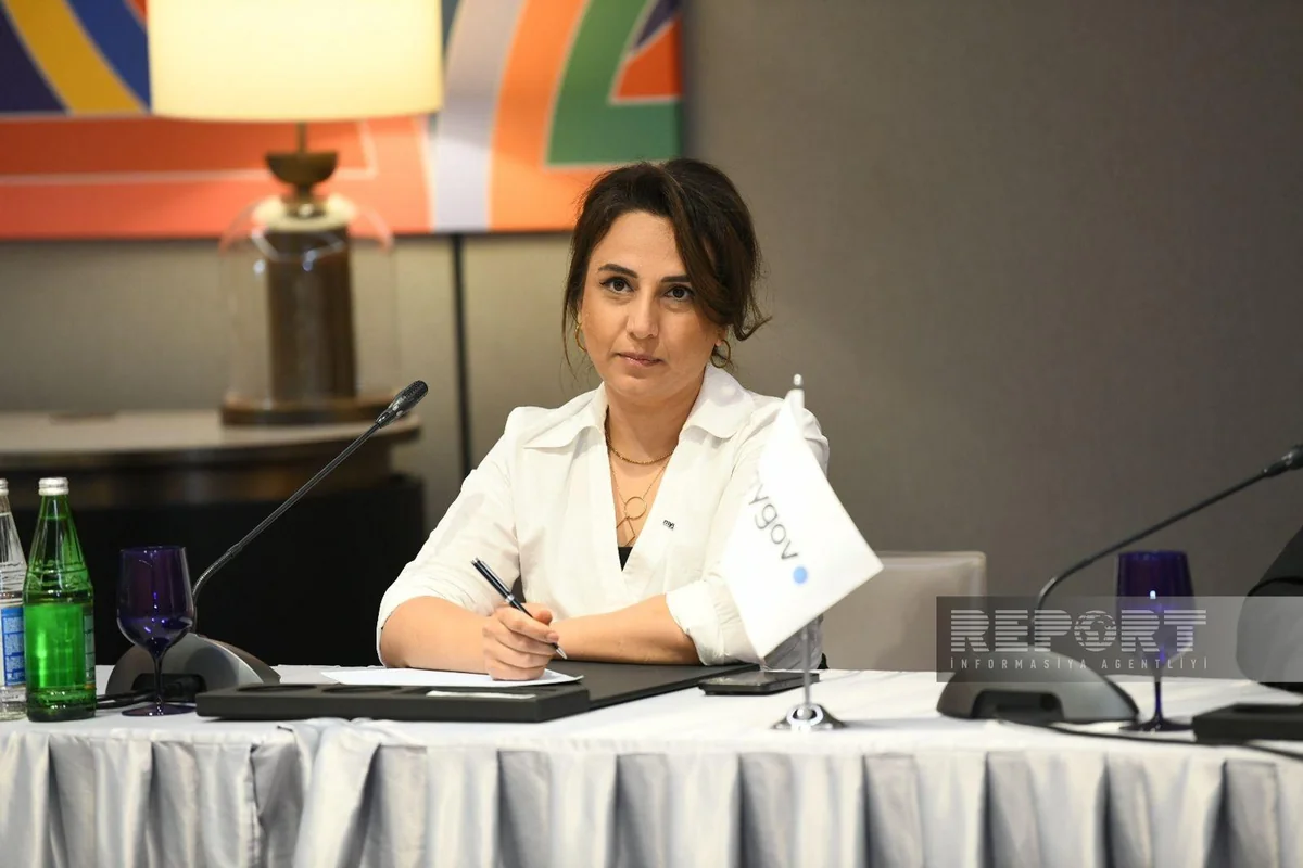 İnarə Vəliyeva: Bir neçə sahənin rəqəmsallaşdırılması ilə bağlı iş gedir