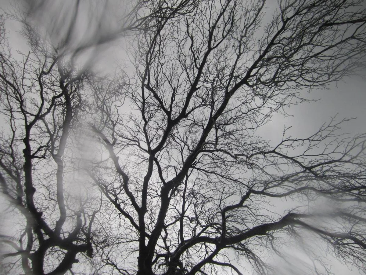 Weather forecast for Sunday announced