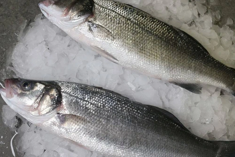 Azerbaijan imports 31.7 tons of sea bass in 1H2025