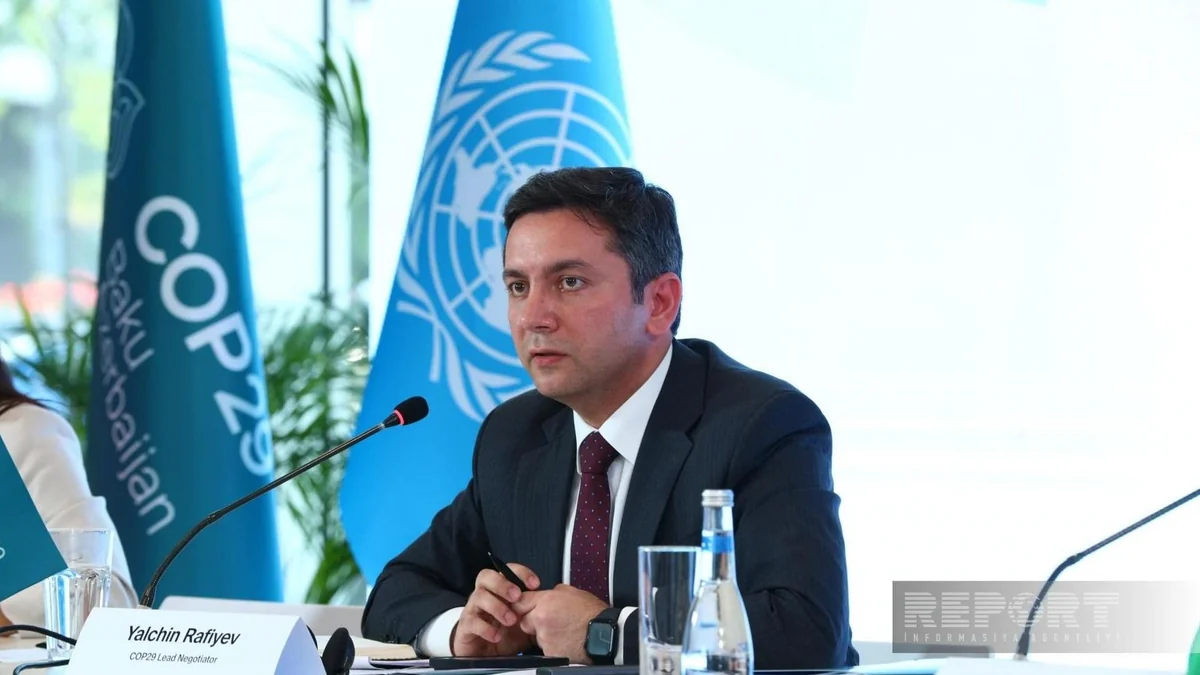 COP29 Lead Negotiator: We observe constructive approaches from all states