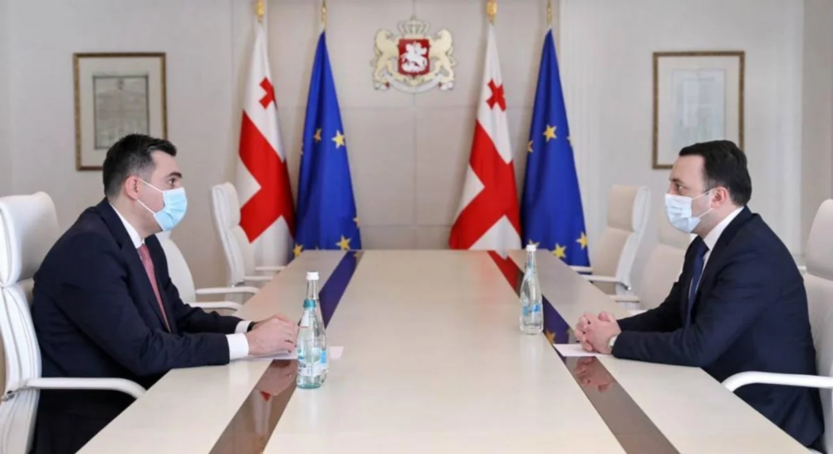 Former ambassador appointed head of Georgian government administration