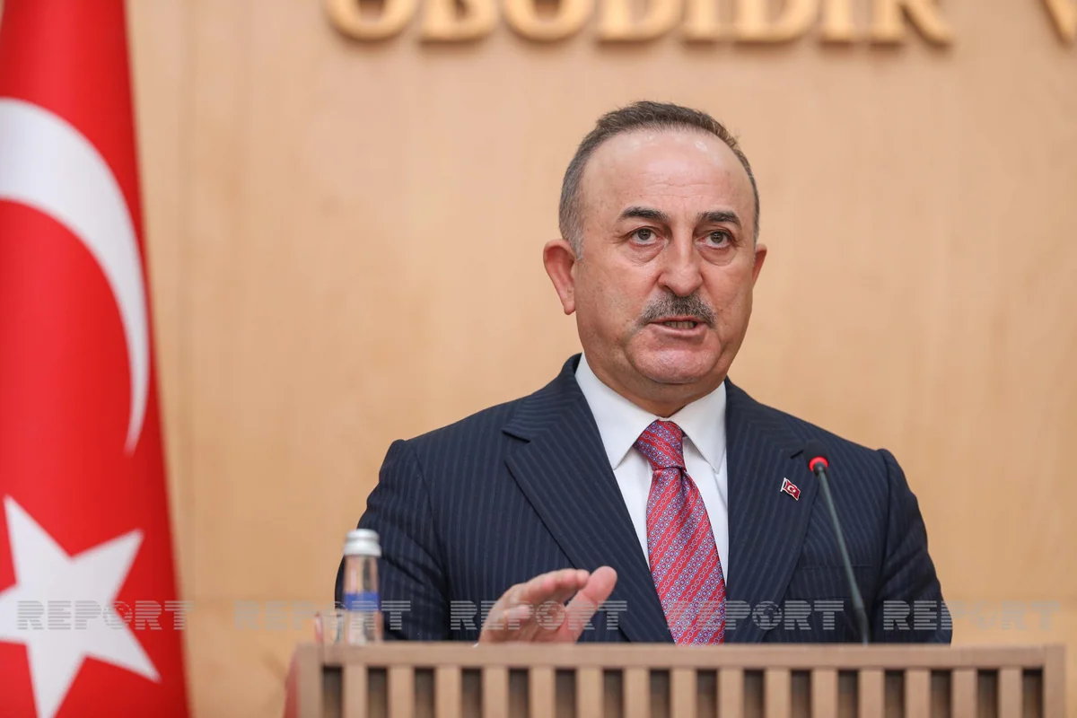 Cavusoglu: Turk's path lies through Zangazur, Karabakh