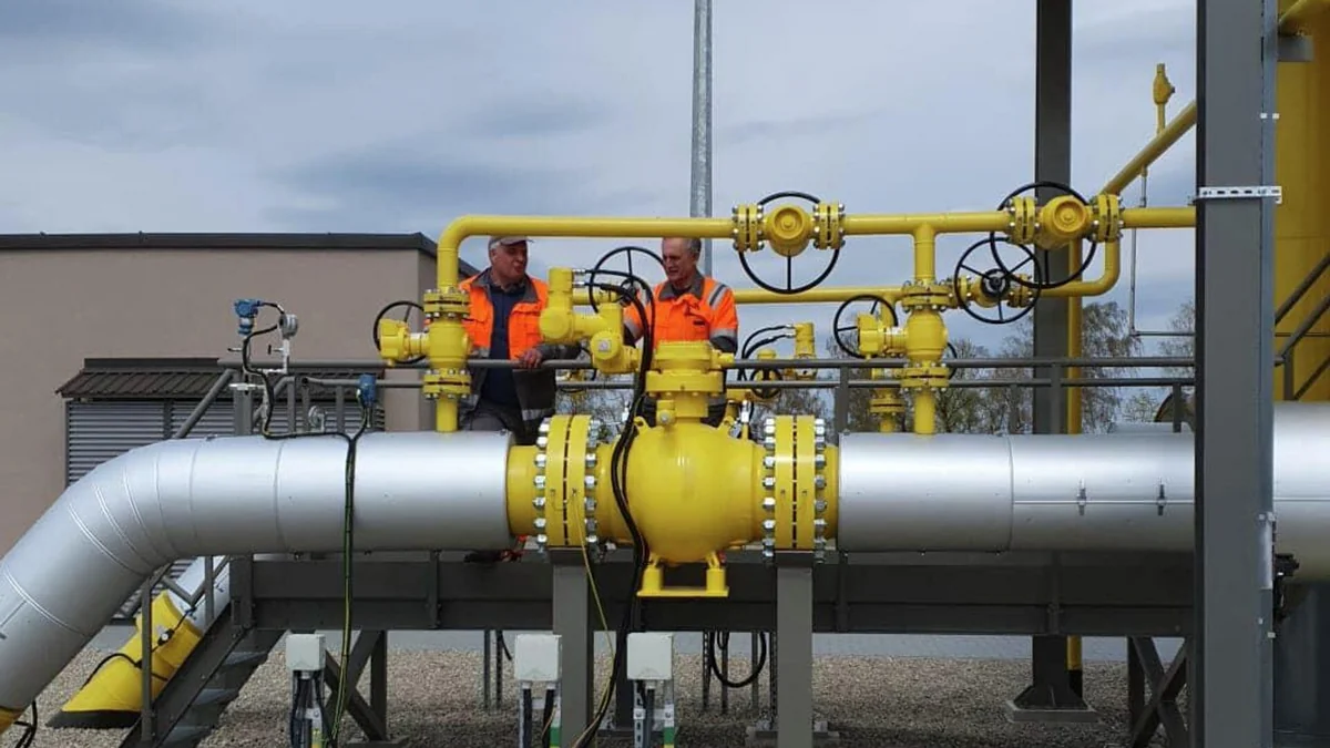 Литва за пять лет выделит на развитие газовых сетей 138 млн евро