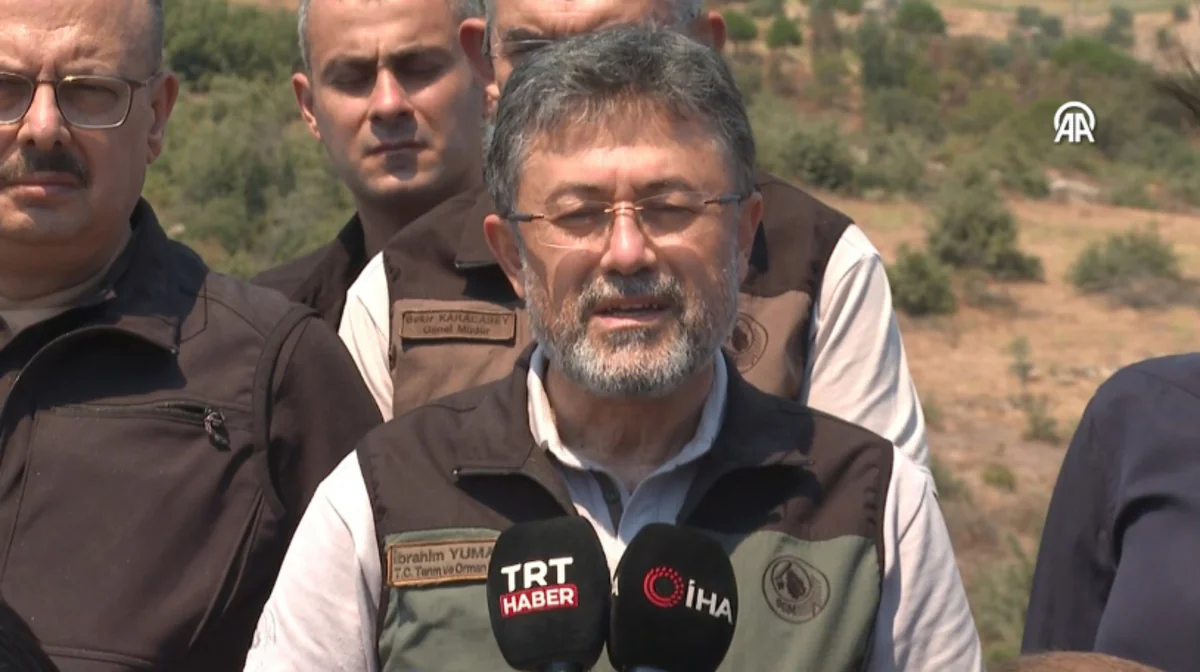 Azərbaycanın yanğınsöndürmə təyyarəsi az sonra Türkiyənin hava limanına enəcək