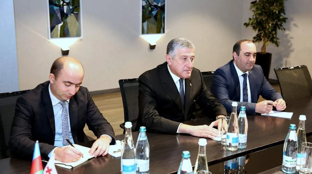 Azerbaijani ambassador meets with new head of Georgian State Security Service