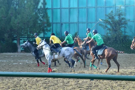 Peşəkar Çövkən Liqasının IV turunun növbəti oyunları keçirilib