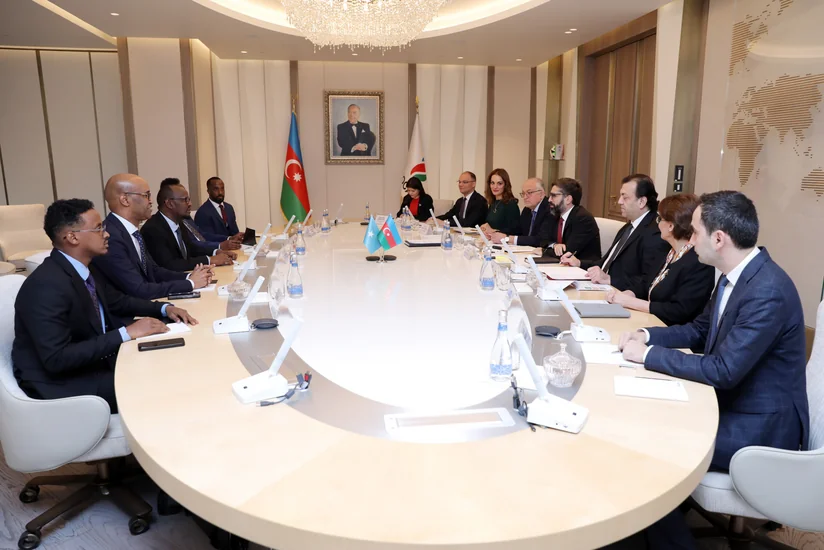 SOCAR изучает направления разведки и трейдинга в Сомали