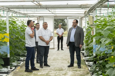 Məcnun Məmmədov Şabranda təsərrüfatlara baş çəkib, fermerlərlə görüşüb